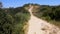 Timelapse riding mountain bike in a small singletrack trail in the mountain.