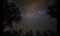 Timelapse of stars moving in night sky over pine trees