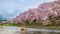 Timelapse of Urui River Sakura with a view of the mountains and Mount Fuji behind in Shizuoka, Japan