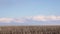 Timelapse video rain clouds float far on the horizon against the background of an empty spring field