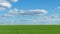 timelapse of young green wheat sprouts agricultural field, bright spring landscape on a sunny day, blue sky as background