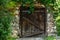 Timeless Beauty: Vintage Wooden Door with Green Leaves and Rusty Metal Padlock