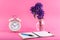 Timeless Inspiration: Retro Clock, Pen on Open Notebook, and Purple Flower on Pink Background