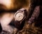 Timeless Sophistication: Luxury Watch Showcase