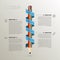 Timeline infographic business template with pencil. vector
