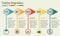 Timeline Infographics template whith icons and text. Isolated design elements. Colorful vector illustration.