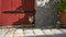 Timid little kitten pokes head through a gate opening on a cobblestone street in Rothenburg Germany