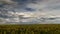 Timlapse - Beautiful moving clouds over a canola field