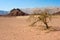 Timna park