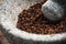 Timut sihuan pepper seeds in granite pestle or mortar