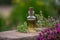Tincture bottle flower herbs. Generate Ai