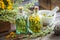 Tincture bottles of tansy and tarragon healthy herbs