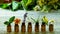 Tincture of medicinal herbs in small bottles. Selective focus.