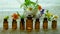Tincture of medicinal herbs in small bottles. Selective focus.