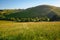 Tindale Law and Barrowburn Hay Meadows