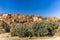 Tinghir, Draa Tafilalet, Morocco. View of the town of Tinghir.