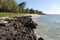 Tinian Landing Beach