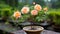 the tiniest apricot-colored bonsai rose plant, thriving in its carefully selected pot