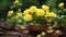 the tiniest yellow bonsai rose plant, flourishing in its carefully designed pot