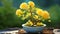 the tiniest yellow bonsai rose plant, flourishing in its carefully designed pot