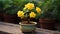 the tiniest yellow bonsai rose plant, flourishing in its carefully designed pot