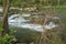 Tinker Creek Trout Stream