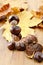Tinker little chestnut figures auf nuts and leaves