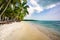 Tinted fantastic landscape caribbean coast