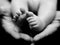 Tiny Baby\'s hand