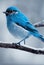 Tiny blue bird in the winter forest close up Generative AI illustration