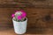 Tiny Cactus with Magenta Blooming Flowers in the Pot