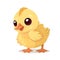 Tiny chick cartoon