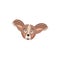 Tiny chihuahua puppy dog face head mask portrait