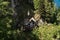 Tiny church at the austrian mountain