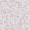 Tiny confetti vector texture background. Ecru natural speckled sprinkles seamless pattern. Small japanese micro party washi paper