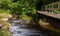 Tiny creek from the Cascade de Bayehon