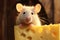 Tiny Cute rat with cheese. Generate Ai