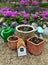 Tiny doll house with flowerpots and watering can by flowerbed in the garden