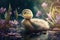 Tiny Duckling waddling after its mother on a serene pond surrounded by blooming flowers