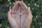 Tiny flower in an open hand. Top view of human hand holding little flower.