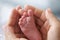Tiny foot of a newborn baby in the mother`s palms.  Mom holds a newborn baby`s foot in her hands.  Close-up of a newborn baby`s