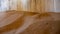 Tiny footprints of an reptile on sand inside on of the sandfilled houses at the ghost town of Kolmanskop, Namibia