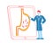 Tiny Gastroenterologist Male Doctor Character Presenting Human Stomach with Helicobacter Pylori Germs