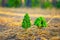 Tiny Green Tree Figurines in a Bed of Pine Needles