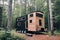 tiny home on wheels, parked in tranquil forest