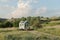 A tiny home on wheels in a picturesque landscape.