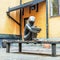 Tiny hugely popular sculpture Jarnpojke or Iron Boy in Stockholm Old Town, Sweden