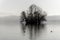 Tiny island with trees in fog, lake Sempach