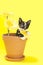 TIny kitten playing in a clay flower pot with yellow daisies.