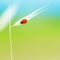 Tiny ladybird on wheat stem